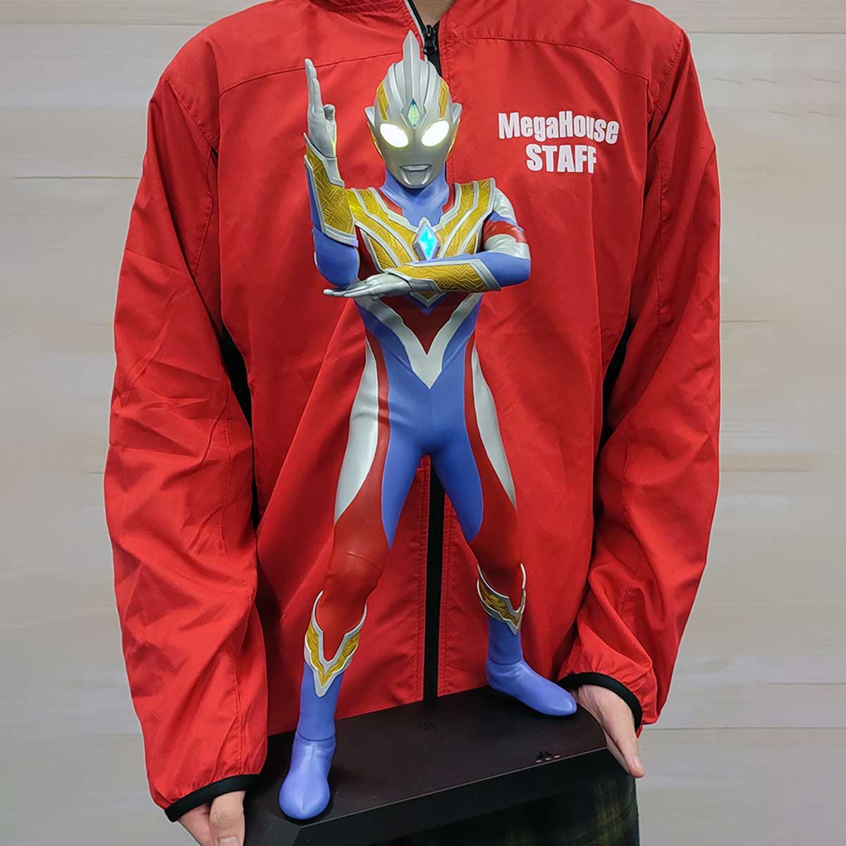 Ultraman Trigger (Multi Type) 